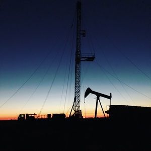 Meet your Posher, Tyson